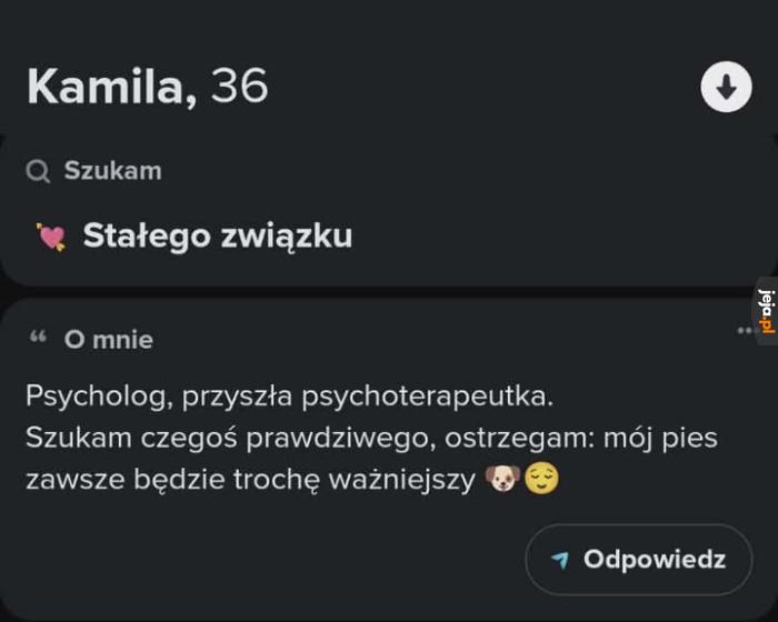 Może kiedyś osiągniesz status kota