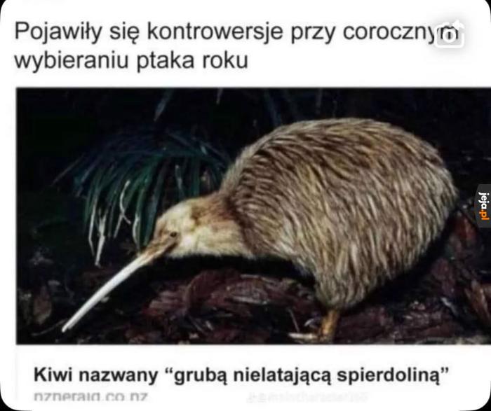 Konkurencja w tym roku jest wyjątkowo zażarta