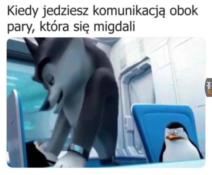 Ludzie wstydu nie mają
