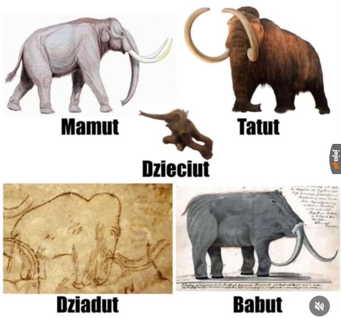 Polskie śmieszki