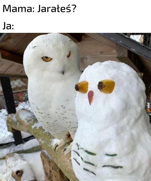 Ej, widać po mnie?