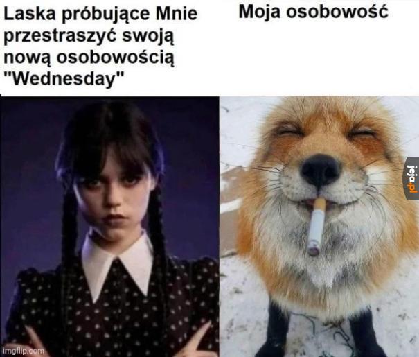 Próbuj śmiało