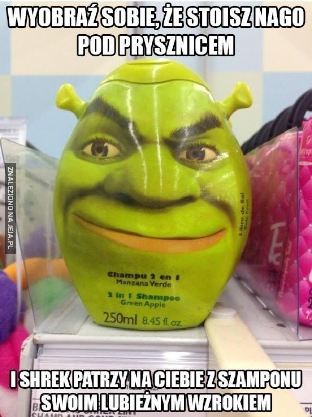 1, 2, 3... Shrek patrzy