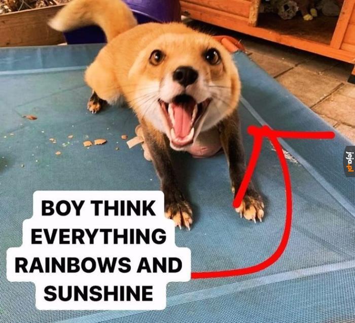 :3