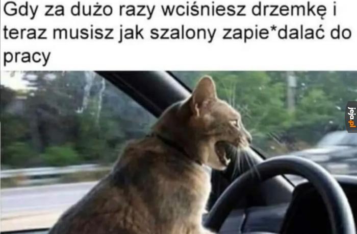 Szybciej tam!