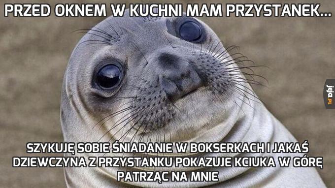 Przed oknem w kuchni mam przystanek...