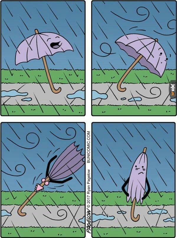 Historia porwanej parasolki