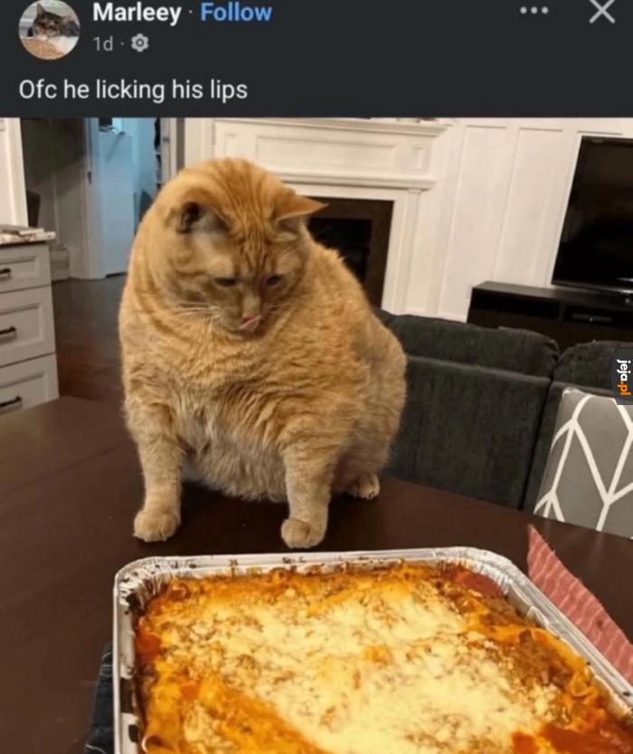 Garfield istnieje