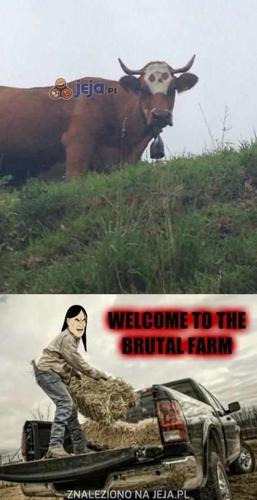 Witamy na brutalnej farmie!