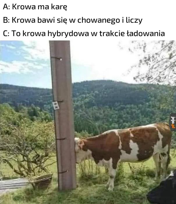 Koło ratunkowe chcecie?