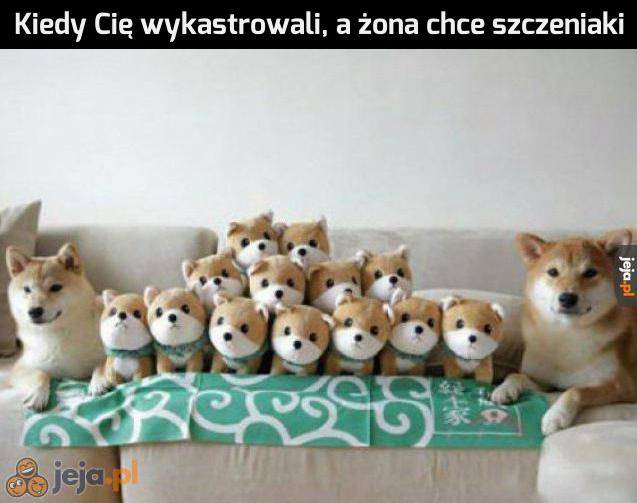 Trzeba sobie radzić