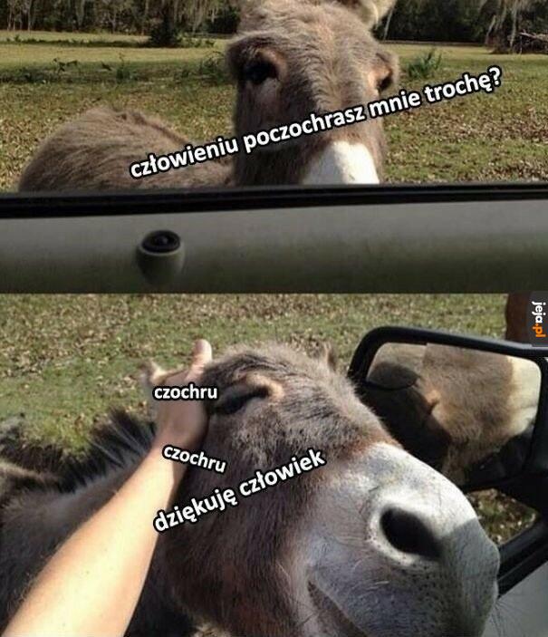 CZOCHRAŃSKO