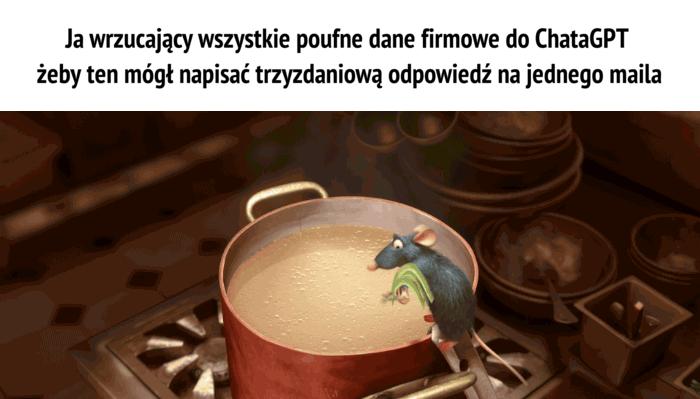 Zrobilibyście to samo