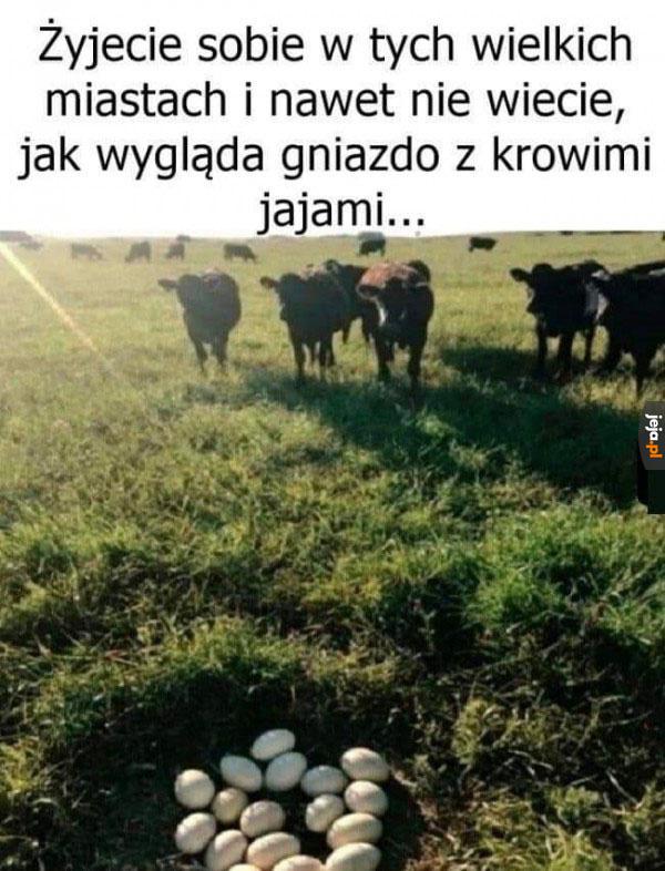 Chyba niedługo się wyklują