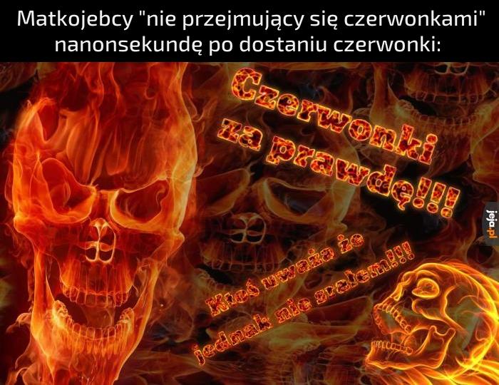 Czerwonki czerwone jak ich gniew