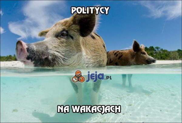 Politycy na wakacjach