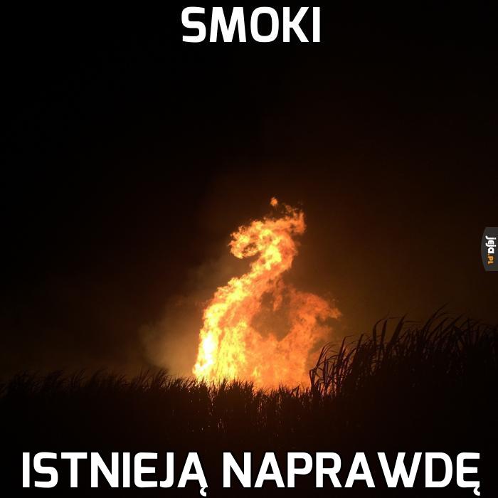 Wątpiłeś?