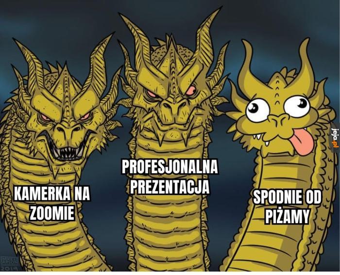 Spotkanie na zoomie be like: