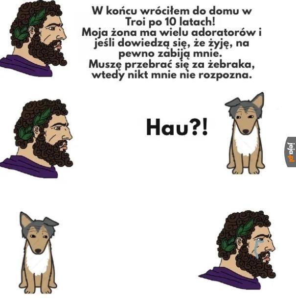 Zapomniany, ale zawsze wierny bohater 🐕 Iliady