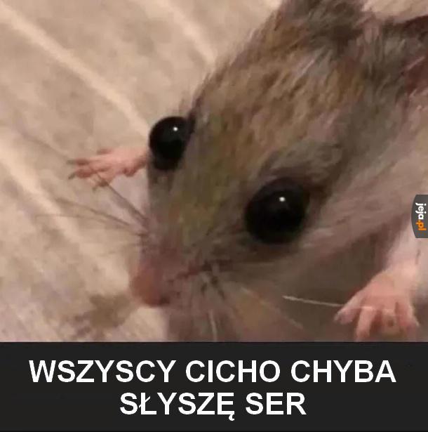 Ser