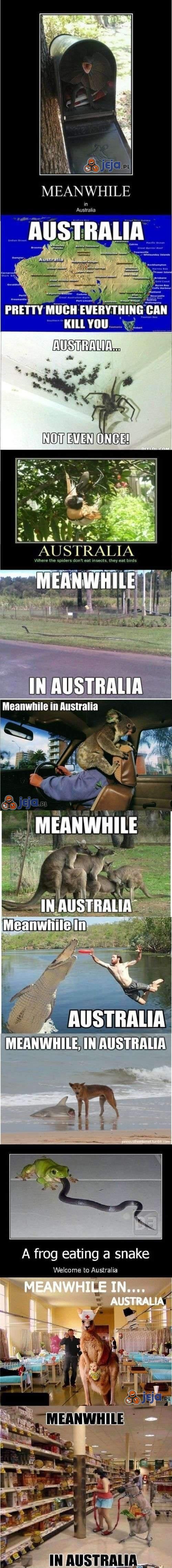 Witamy w Australii