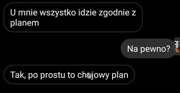 Zgodnie z planem