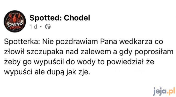 No niezbyt uprzejmie