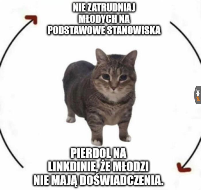 I tak się to kręci