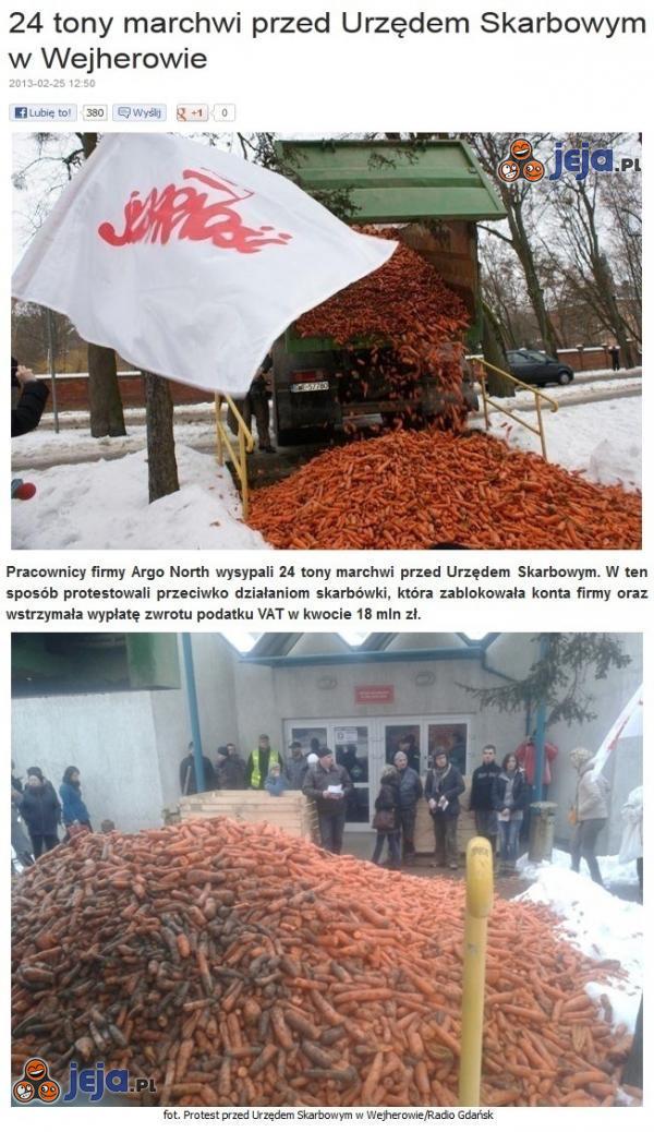 24 tony marchwi przed Urzędem Skarbowym w Wejherowie