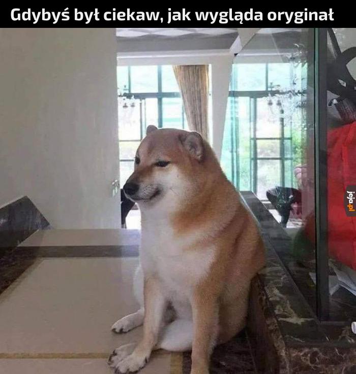 No chyba, że już go widziałeś