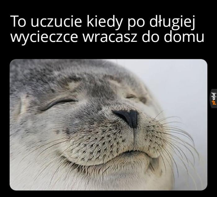 Przyjemność