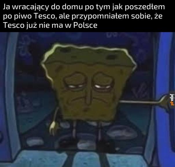 Piwotesko