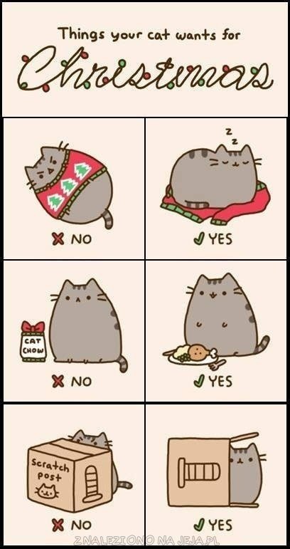 Co Twój kot chce na Święta