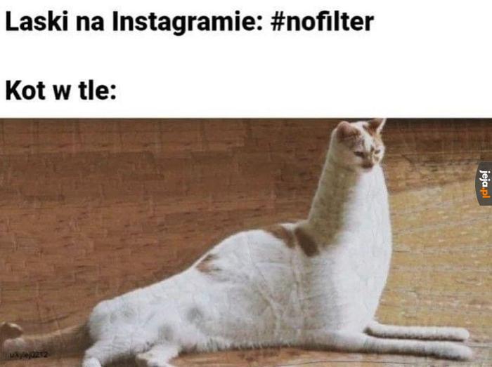 Nowa rasa?