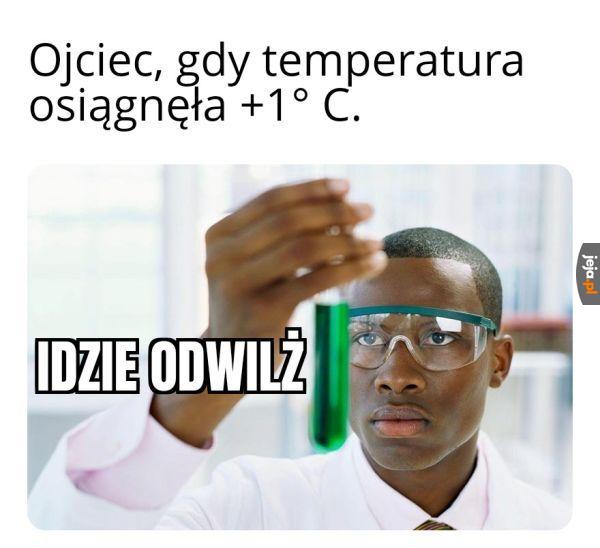 Mamy to