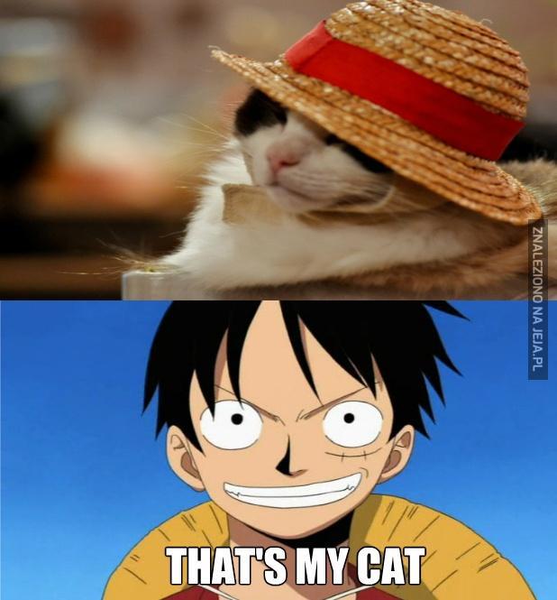 Gomu Gomu No Hairball
