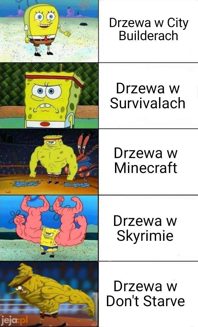 Tam drzewa mogą wstać i ci zwyczajnie przywalić
