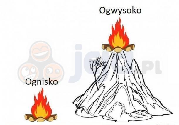 Ogwysoko