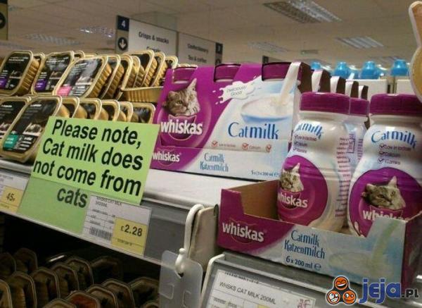 Kocie mleko