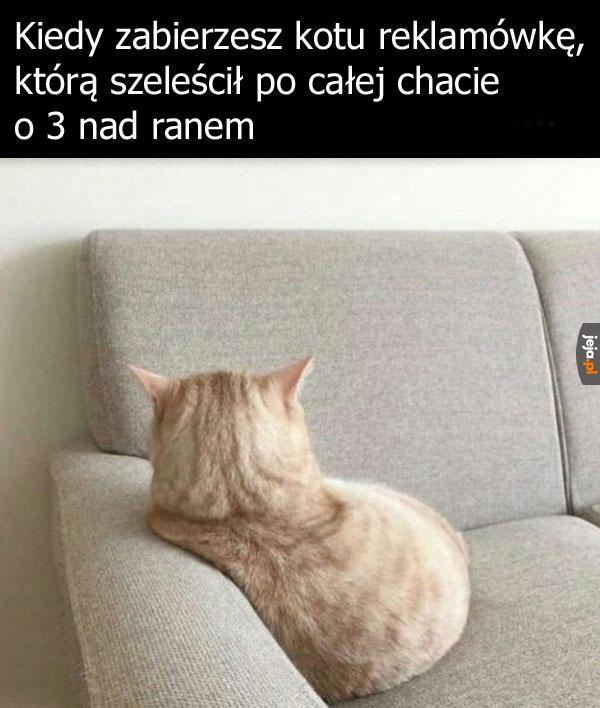 Nie wiem jak ty mi to wynagrodzisz Bożena