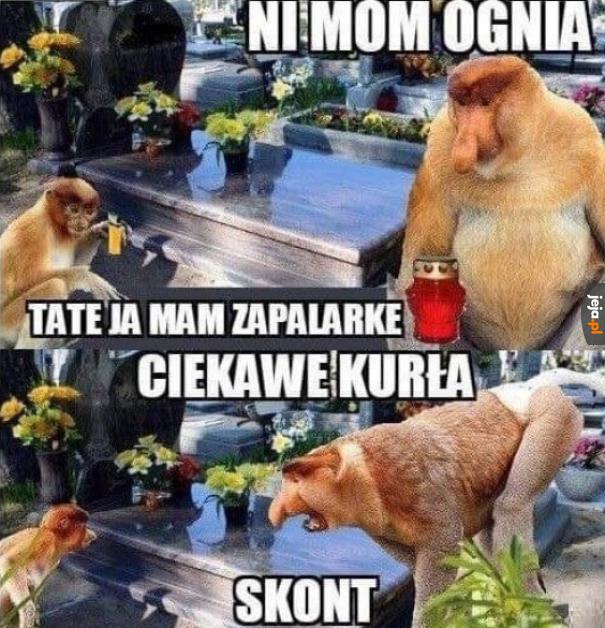 Już dziś