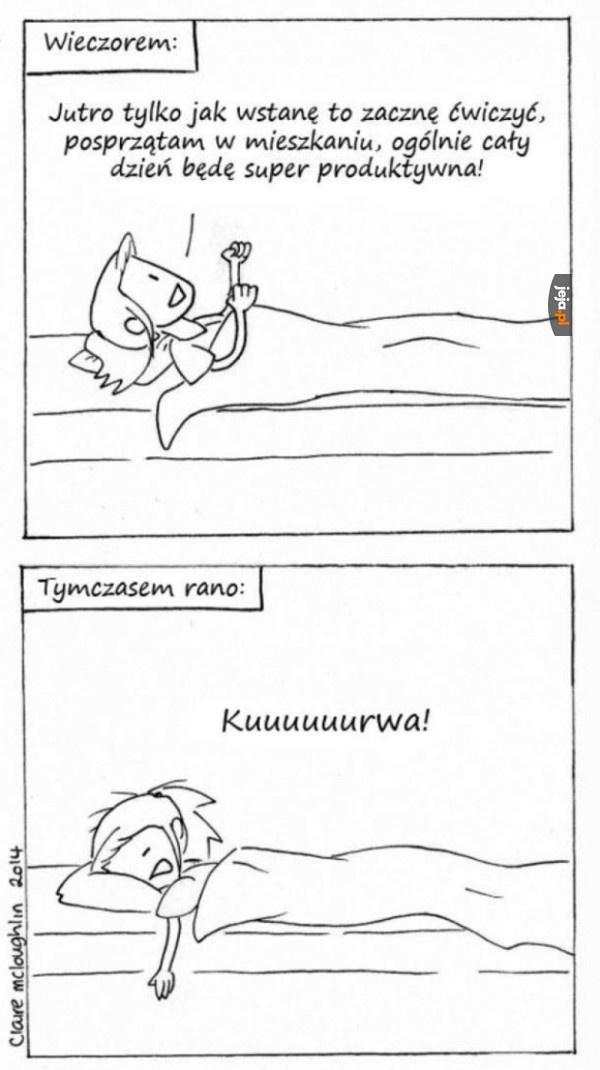 Plan na nowy dzień