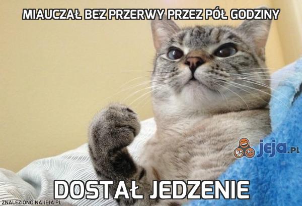 Miauczał bez przerwy przez pół godziny