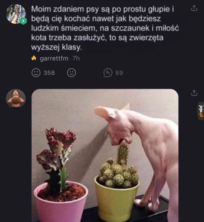 Faktycznie