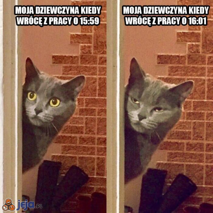 Gdzie byłeś?!