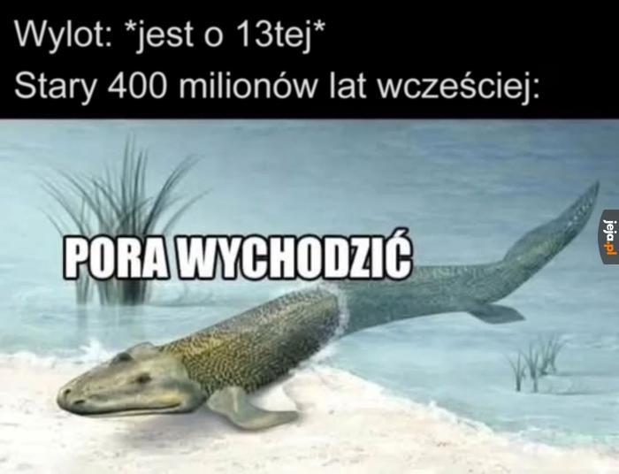 A mogliśmy jeszcze pospać