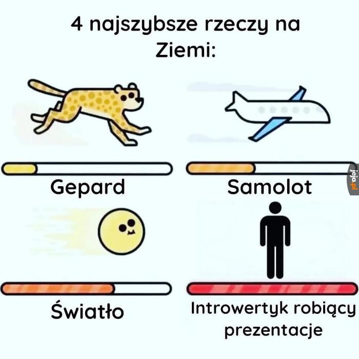 Ale zasuwa