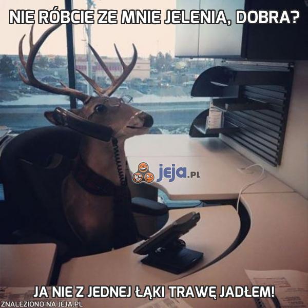 Nie róbcie ze mnie jelenia, dobra?
