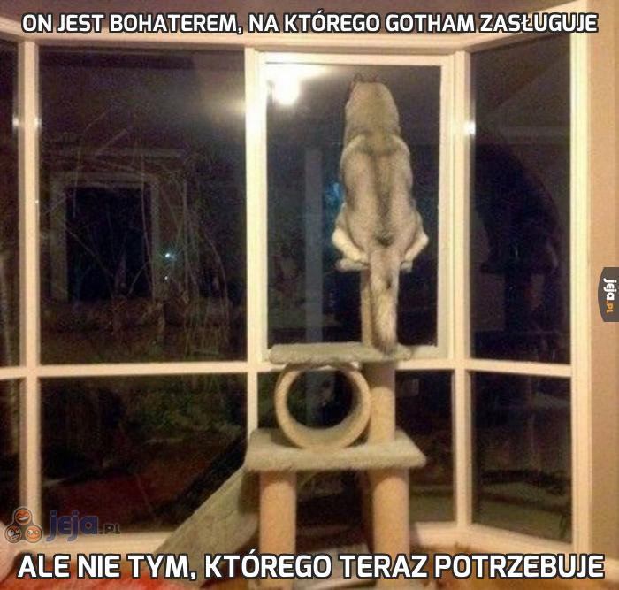 On jest bohaterem, na którego Gotham zasługuje