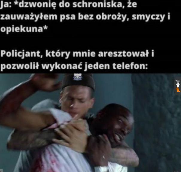 Aresztować śmieszka!